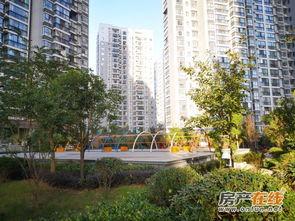 興麗城八號樓最新爆料,品質(zhì)生活新地標即將崛起”