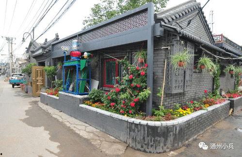 2025迷你最新皮膚爆料,炫彩登場(chǎng)，驚喜連連！