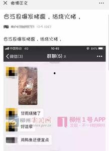 豬瘟最新爆料視頻大全集,視頻大全集深度解析