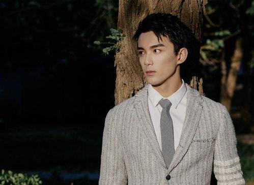 吳磊的最新消息爆料,揭秘當(dāng)紅小生的幕后故事與未來(lái)計(jì)劃