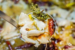 鄭州酸菜魚最新爆料,獨(dú)家爆料揭秘美食背后的故事