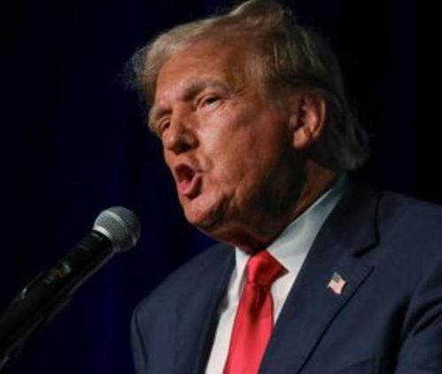 加州特朗普最新爆料消息,揭秘隱藏在幕后的驚人真相