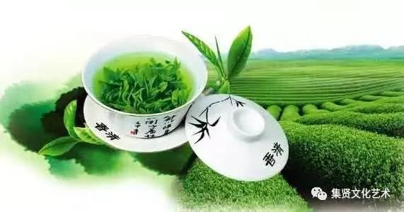綠茶菌爆料最新