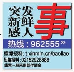 新鮮事最新爆料,新鮮事背后的驚人真相