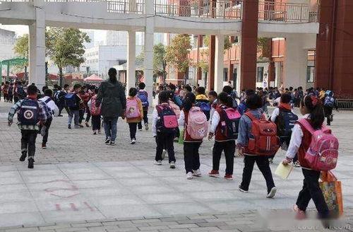 獅山小學(xué)爆料新聞最新,校園奇聞軼事大揭秘！