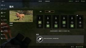 荒野的召喚最新爆料,揭秘神秘新世界，探險(xiǎn)之旅即將開(kāi)啟！