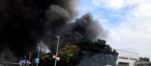 惠東民聲爆料事件最新進(jìn)展