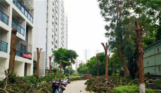 小區(qū)物業(yè)最新爆料,小區(qū)物業(yè)最新爆料，業(yè)主權(quán)益再升級！