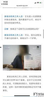 深圳貓租客最新爆料新聞,揭露租房行業(yè)潛規(guī)則與貓患問題