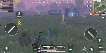 和平精英最新爆料哪里看,揭秘新版本亮點(diǎn)與改動(dòng)