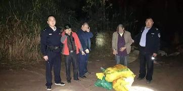 石城爆料傷人視頻最新,真相與反思